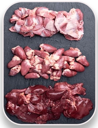 Chicken liver & Gizzard