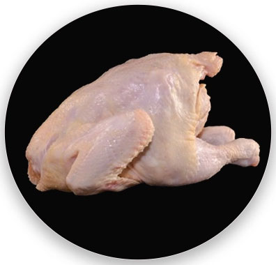 Organic Chicken