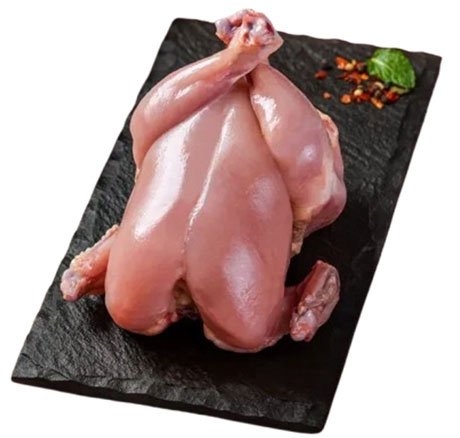 Broiler Chicken